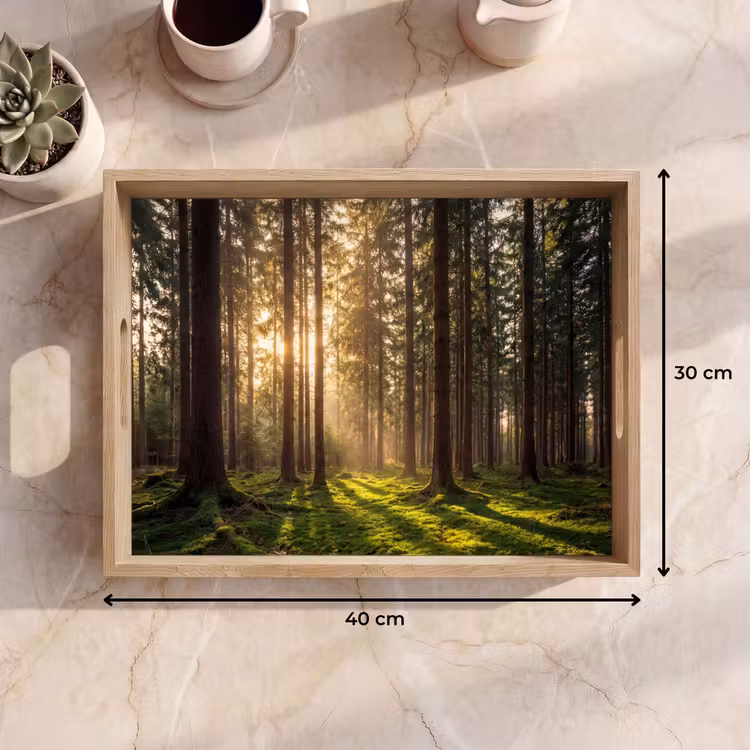 Tray - Forest - Grass - Sunlight — 8