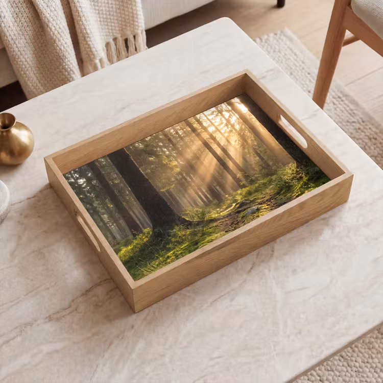 Tray - Forest - Sunlight - Grass — 2