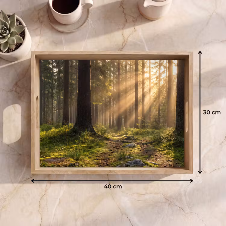 Tray - Forest - Sunlight - Grass — 8