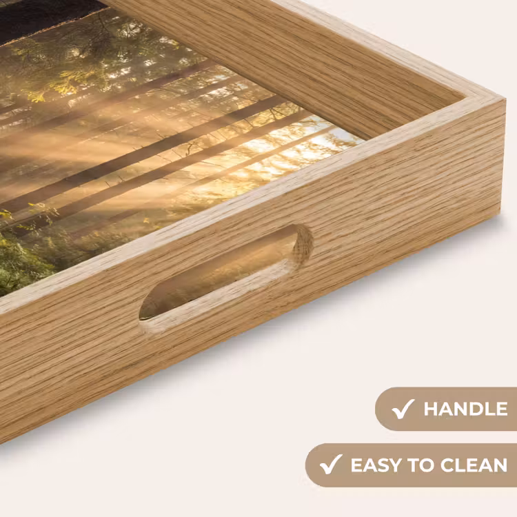 Tray - Forest - Sunlight - Grass — 9