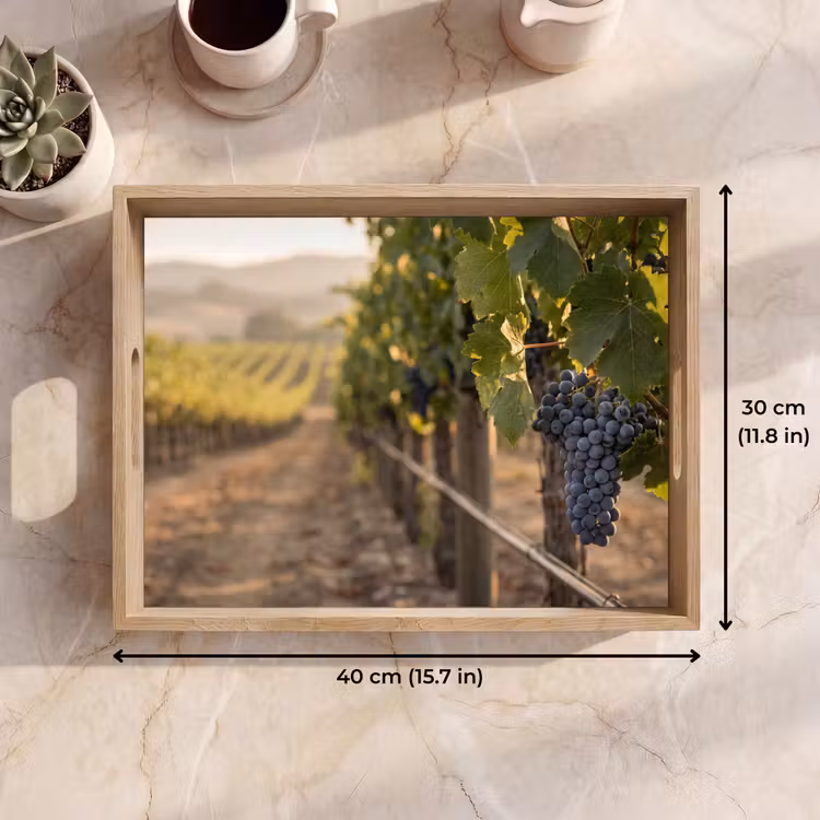 Tray - Grapes - Vineyard - Sunlight — 7