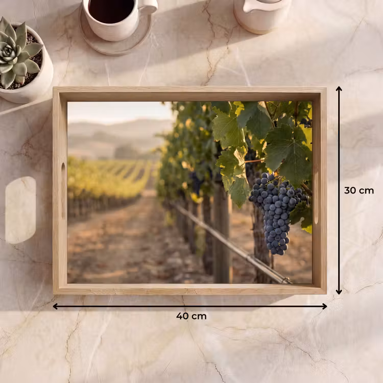 Tray - Grapes - Vineyard - Sunlight — 8