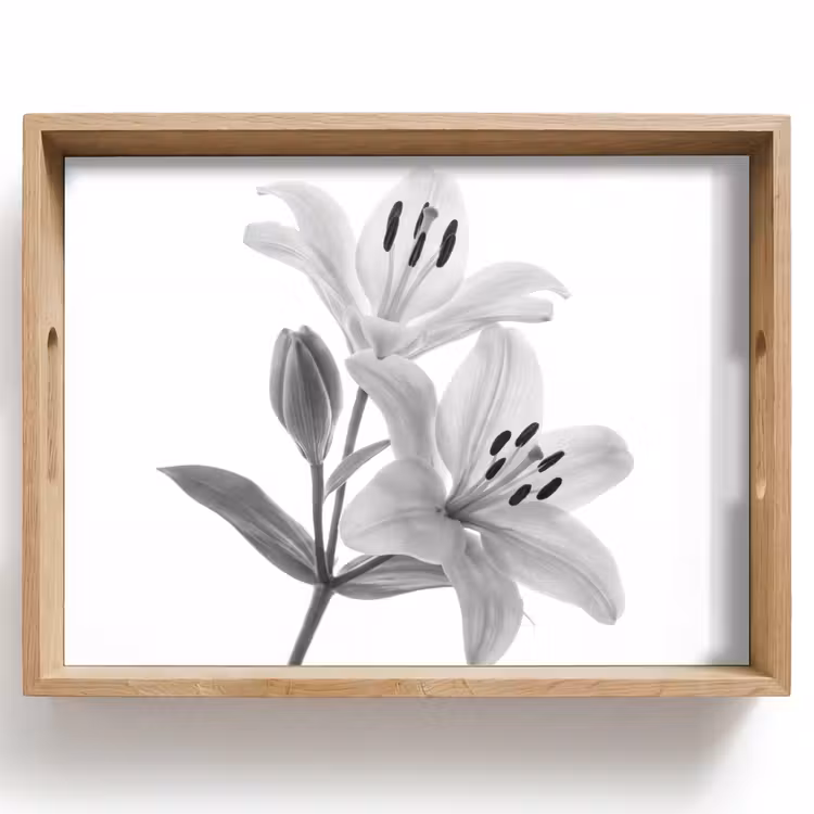 Tray - Lilies - Elegant - Black - White — 1
