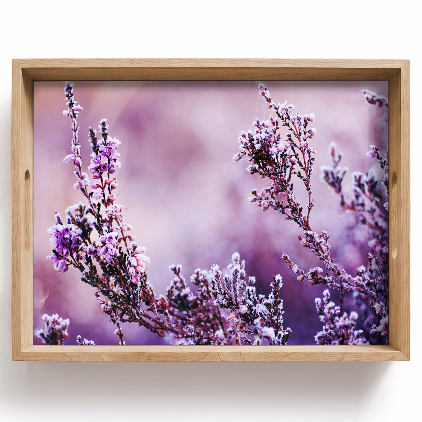 Tray - Lavender - Winter - Flowers - Purple — 1