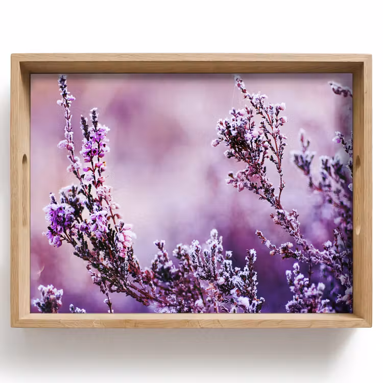 Tray - Lavender - Winter - Flowers - Purple — 1