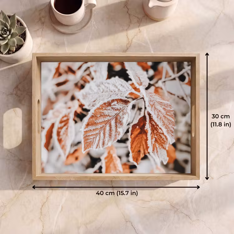Tray - Leaves - Ice - Winter - Nature — 7