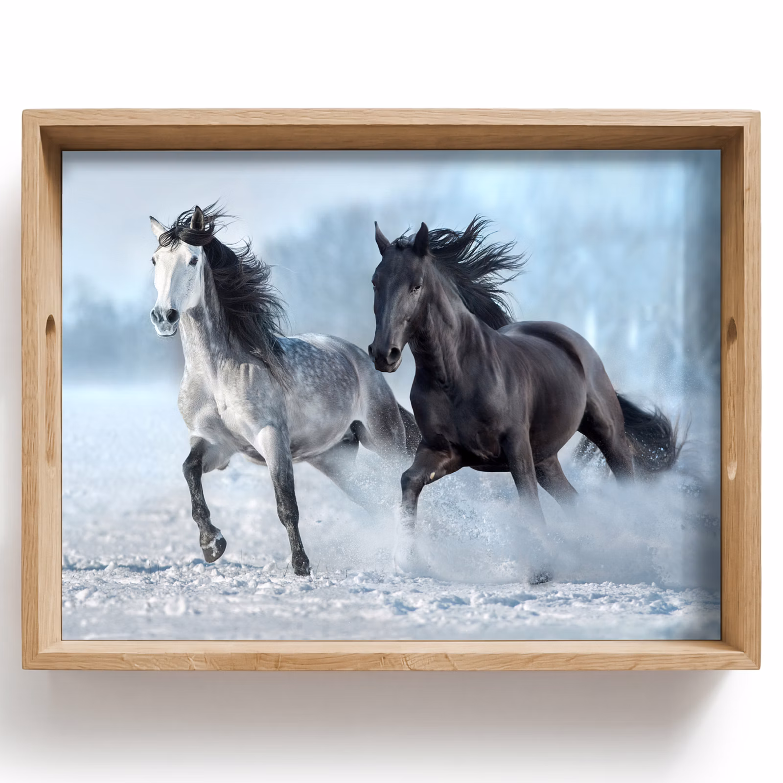 Tray - Horses - Winter - Animals - Nature - Snow — 1