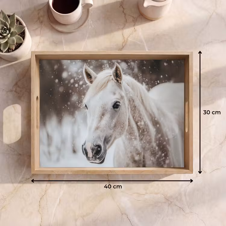 Tray - Horse - White - Winter - Nature - Snow - Animals — 8