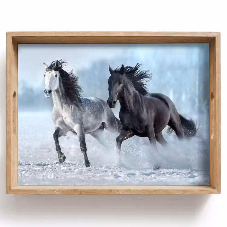 Tray - Horses - Winter - Animals - Nature - Snow — 1