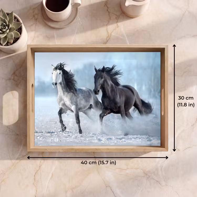 Tray - Horses - Winter - Animals - Nature - Snow — 7