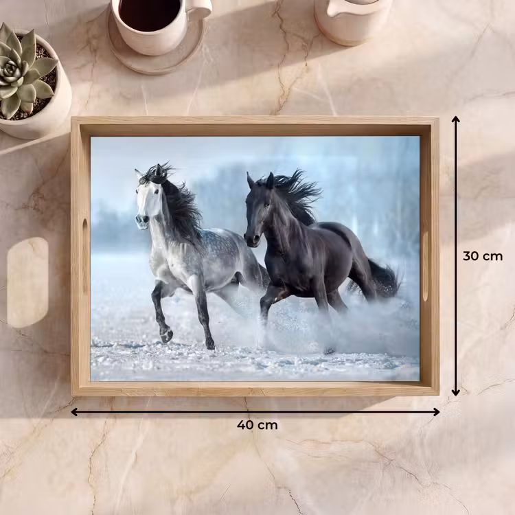 Tray - Horses - Winter - Animals - Nature - Snow — 8