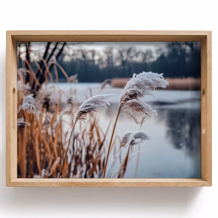 Tray - Reed - Grass - Nature - Winter - Lake — 1
