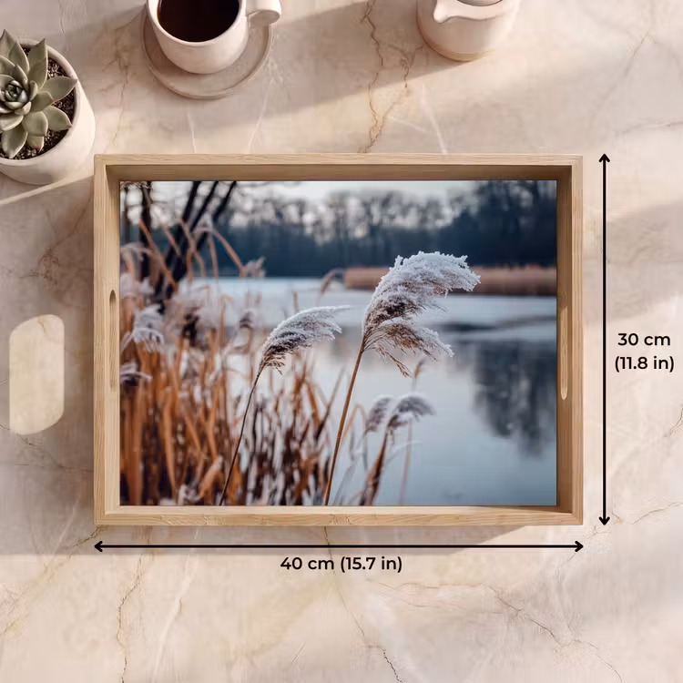 Tray - Reed - Grass - Nature - Winter - Lake — 7