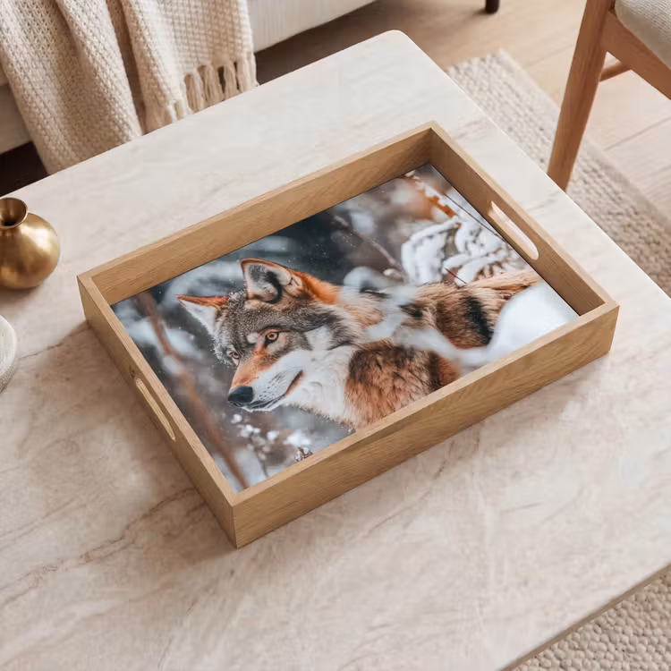 Tray - Wolf - Snow - Winter - Animals - Nature - Snow — 2