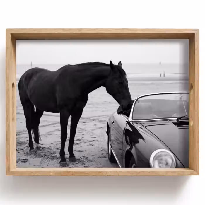 Tray - Horse - Car - Black - White