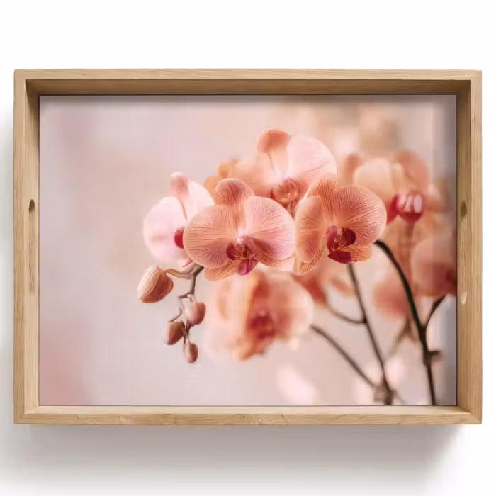 Tray - Orchid - Flowers - Pink - Petals