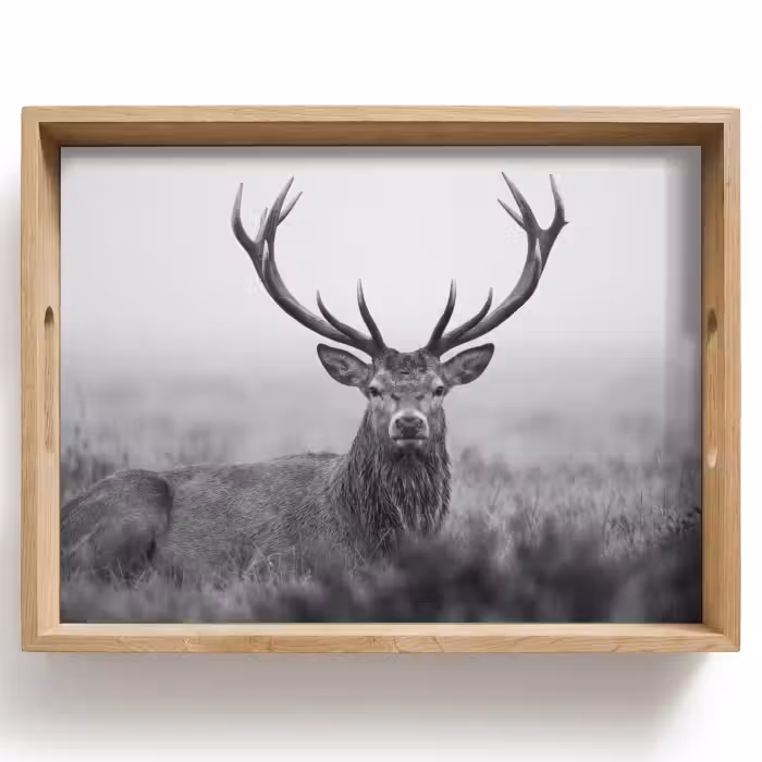 Tray - Deer - Foggy - Black - White