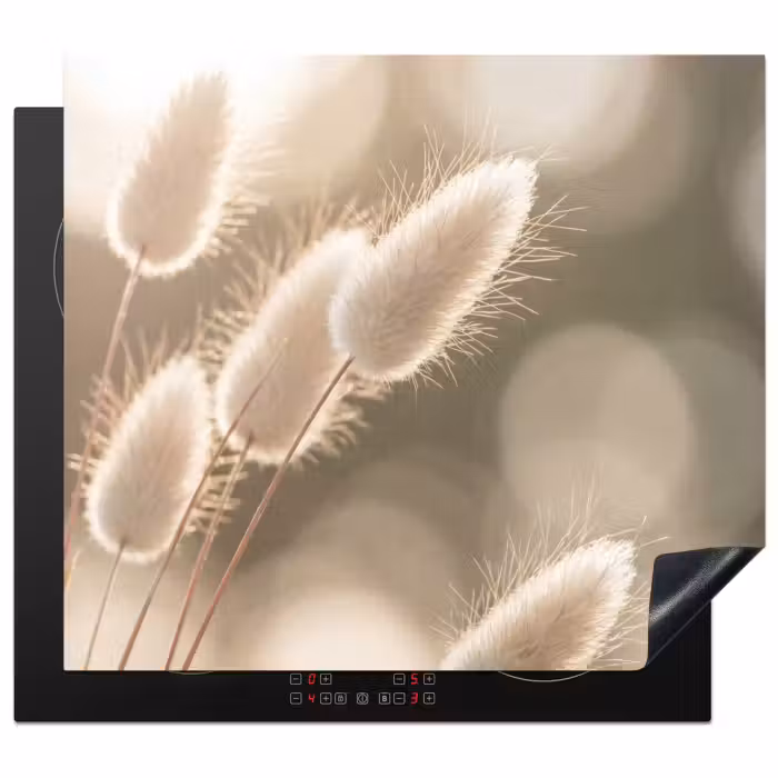 Induction hob protector - Hazetail Grass - White - Sunlight