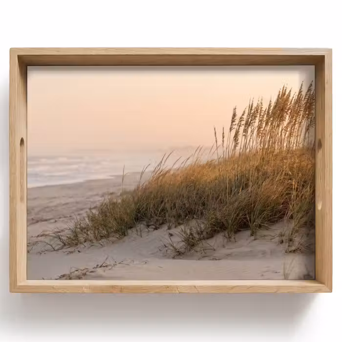 Tray - Dune landscape - Sunset - Beach