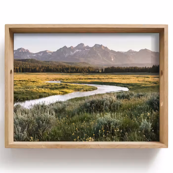 Tray - Mountain scenery - River - Forest