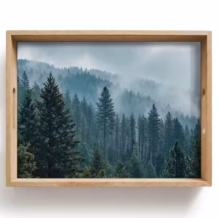 Tray - Naaldwoud - Bergen - Mist