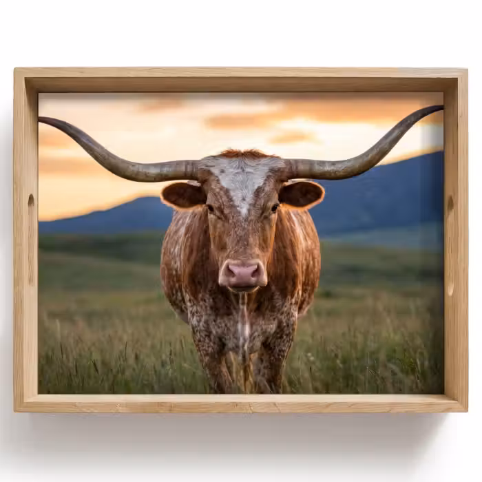 Tray - Longhorn - Landscape - Sunset