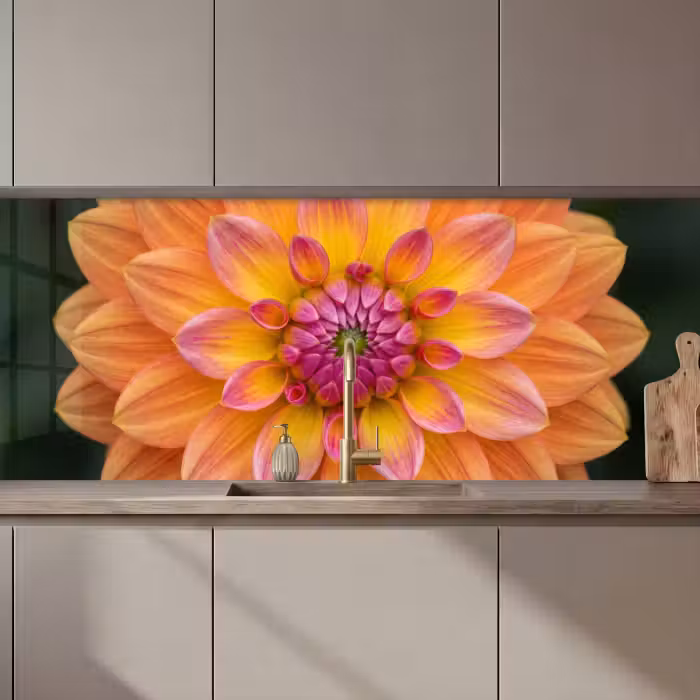 Kitchen splashback - Dahlia - Flower - Orange