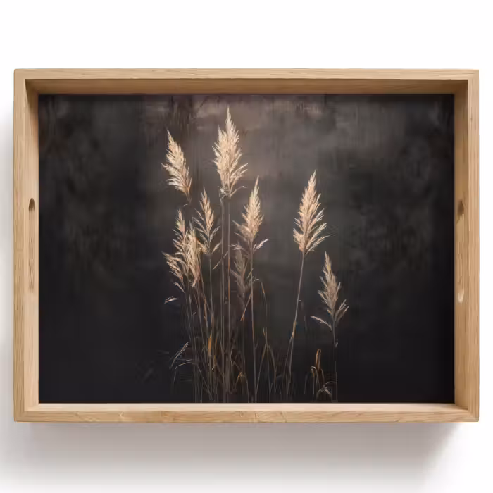 Tray - Ornamental grass - Plumes - Lighting - Black