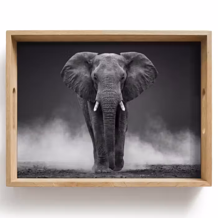 Tray - Elephant - Black - White - Smoke