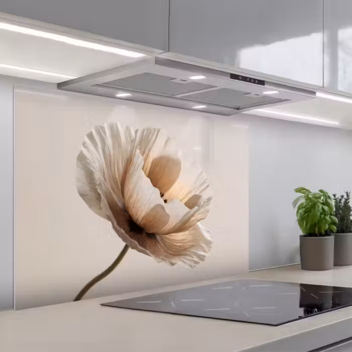 Kitchen splashback for hob - Flower - Beige - Cream