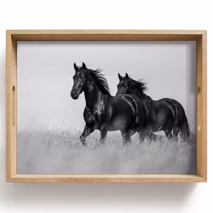 Tray - Horses - Grass - Black - White