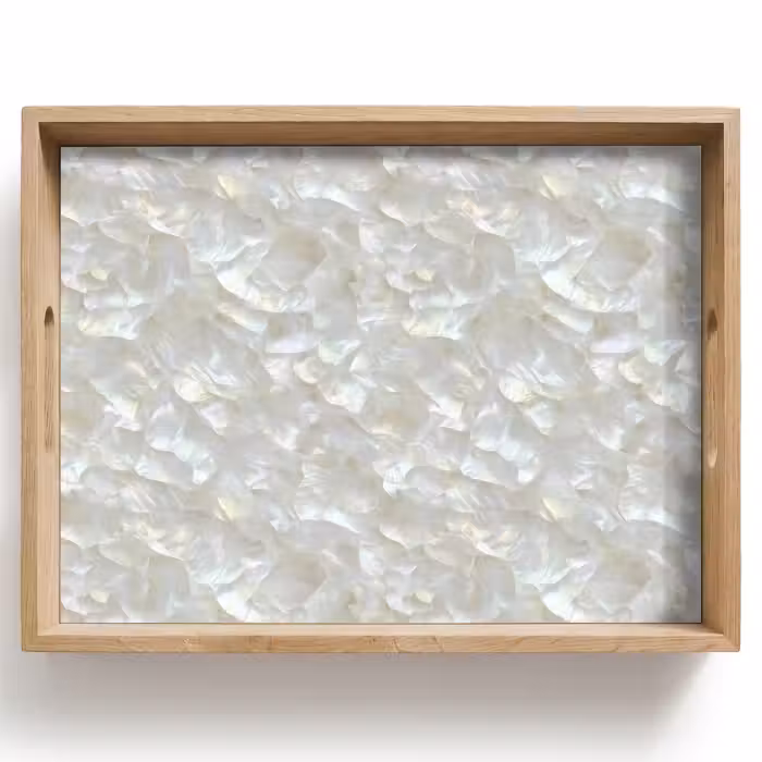 Tray - Pearl Gloss - White - Shell