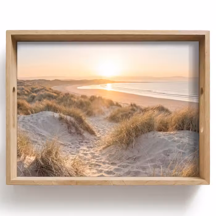 Tray - Dunes - Beach - Sea