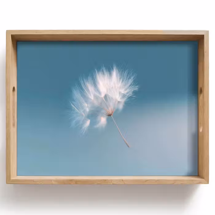 Tray - Dandelion Fluff - Blue - Air