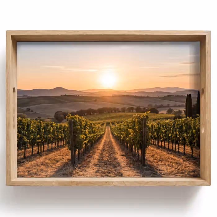 Tray - Vineyard - Sunset - Landscape